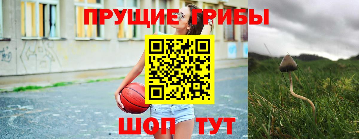 Псилоцибиновые грибы GOLDEN TEACHER  Вход с VPN  Псилоцибиновые грибы мицелий  Оренбург 